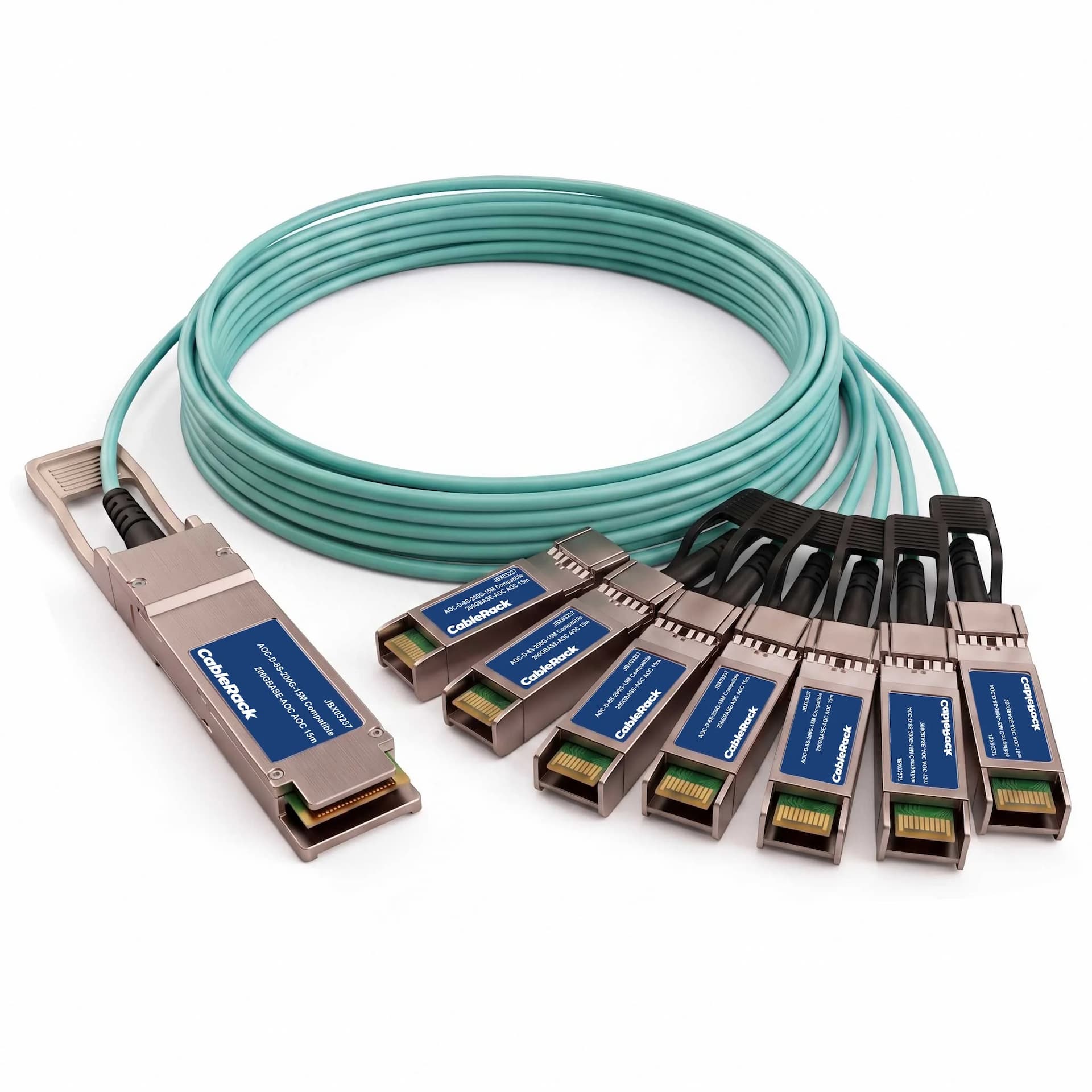 JBX03237 - primary