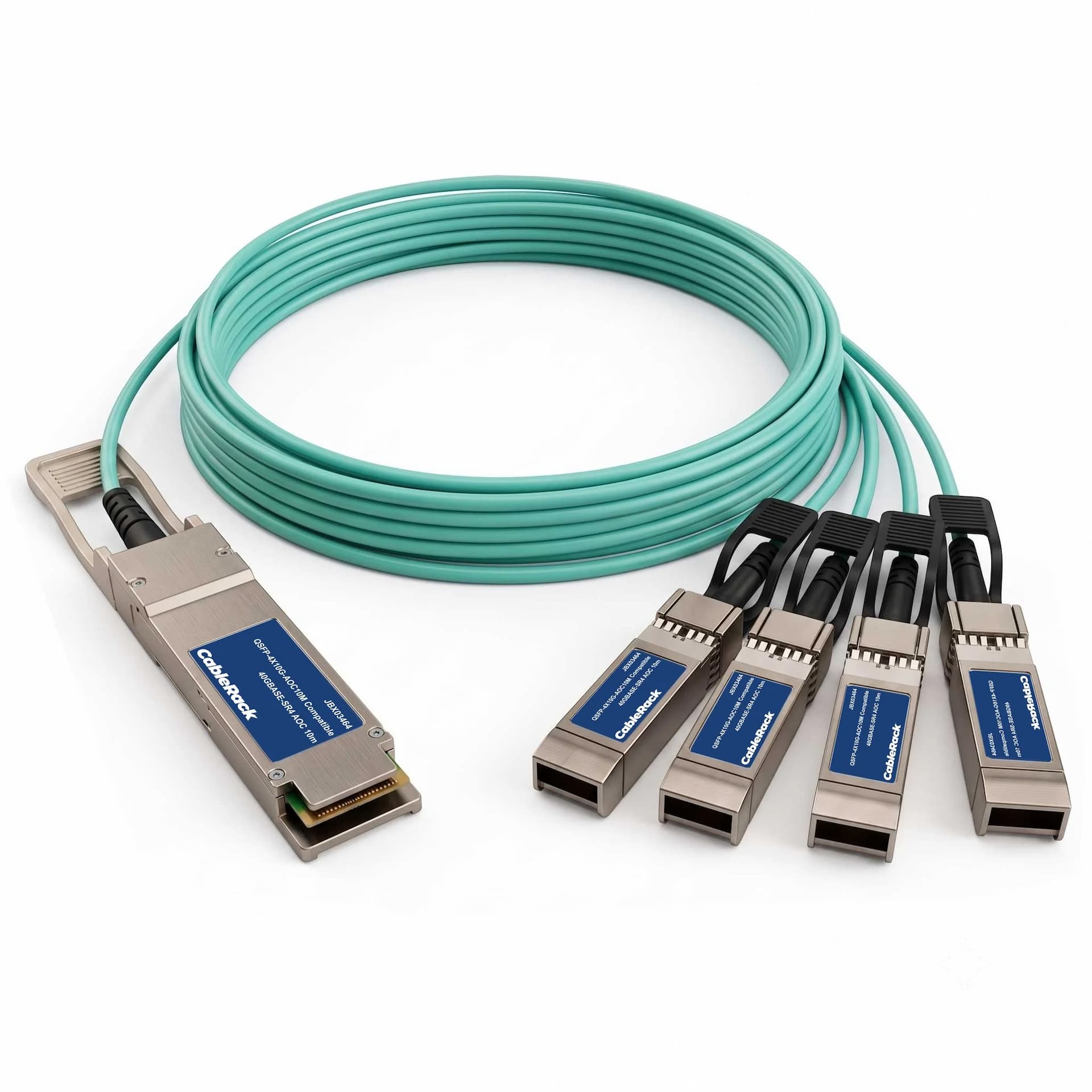 JBX03464 - primary