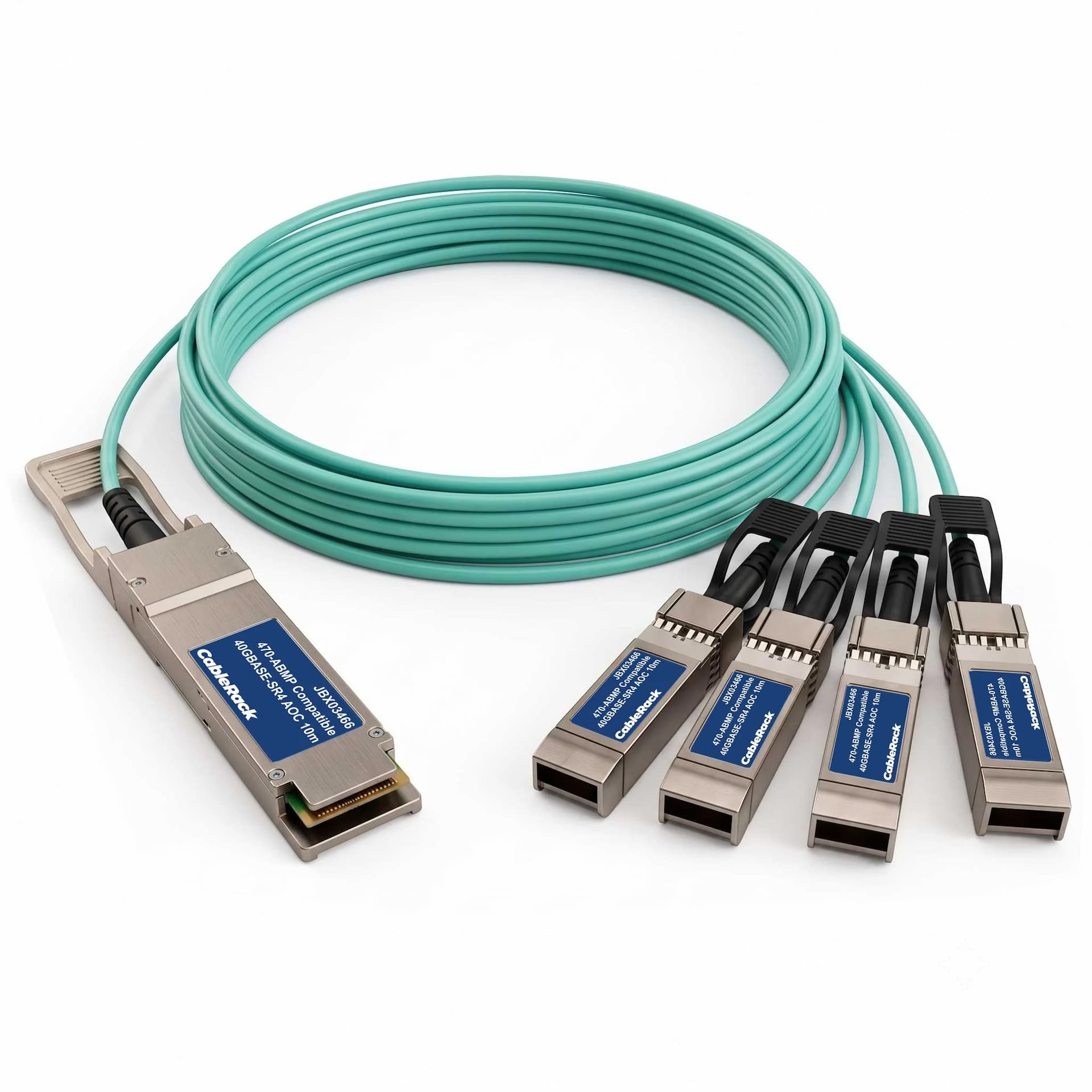 JBX03466 - primary