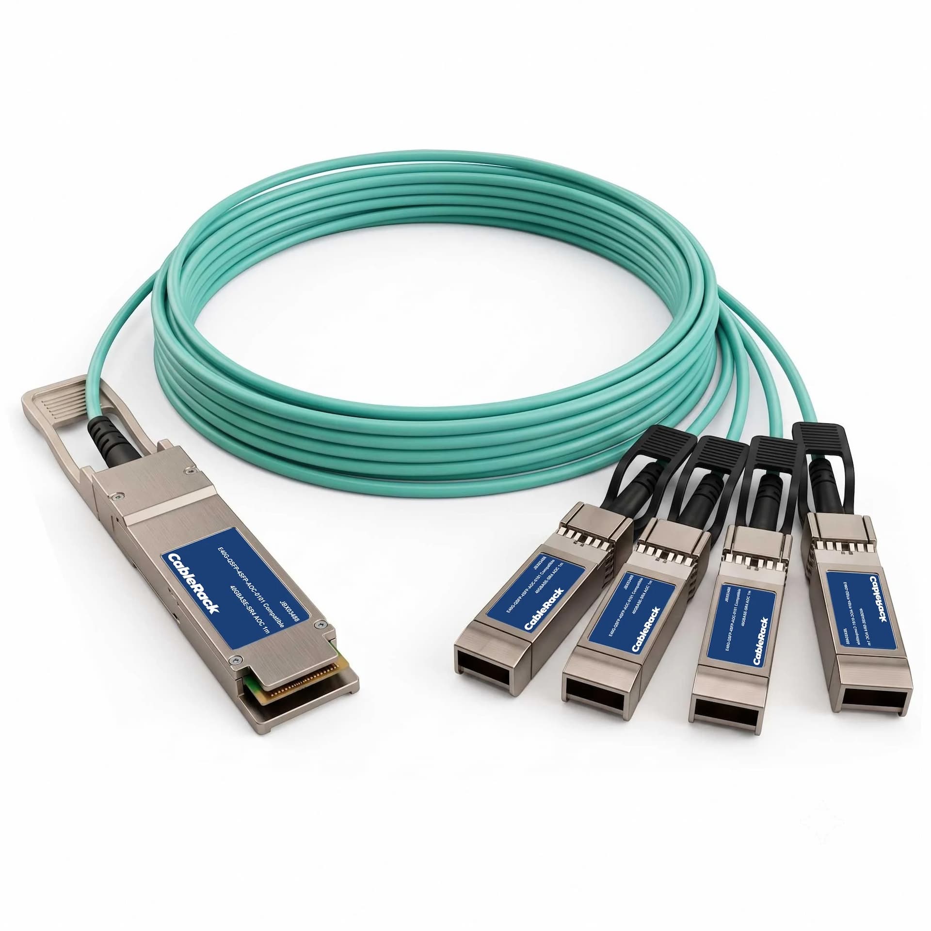 JBX03488 - primary