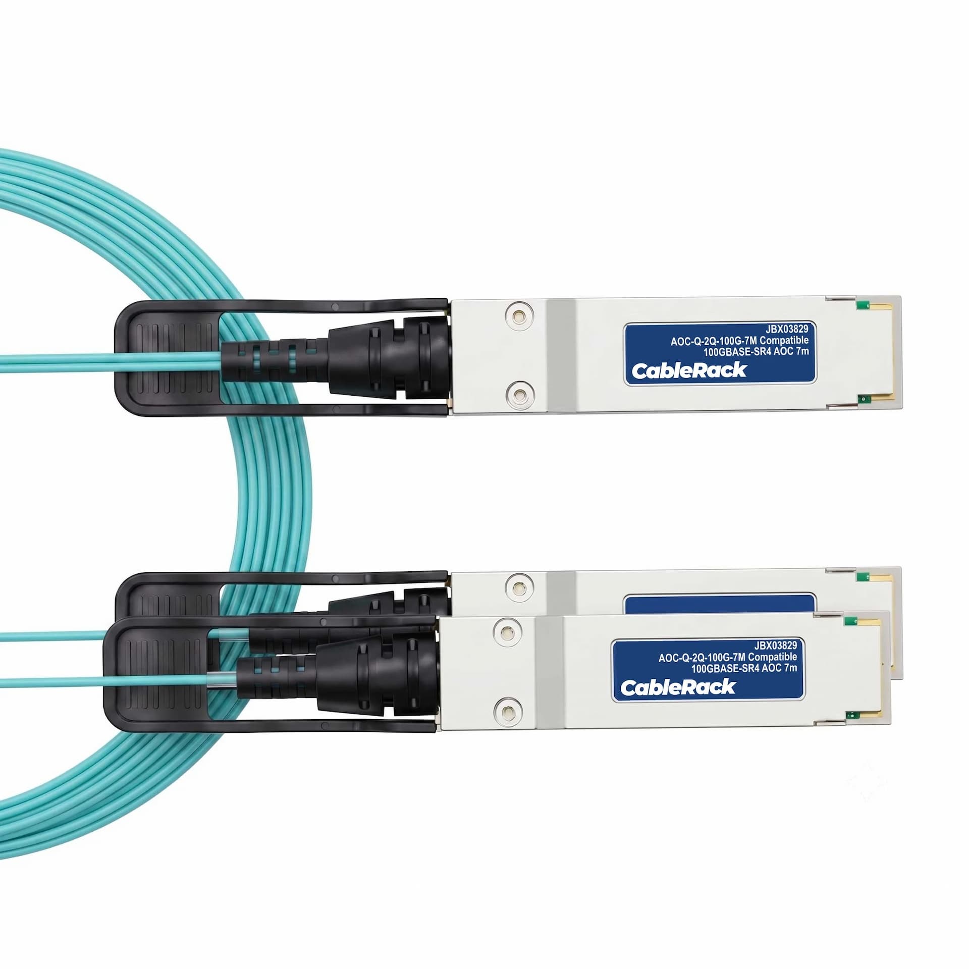 JBX03829 - primary