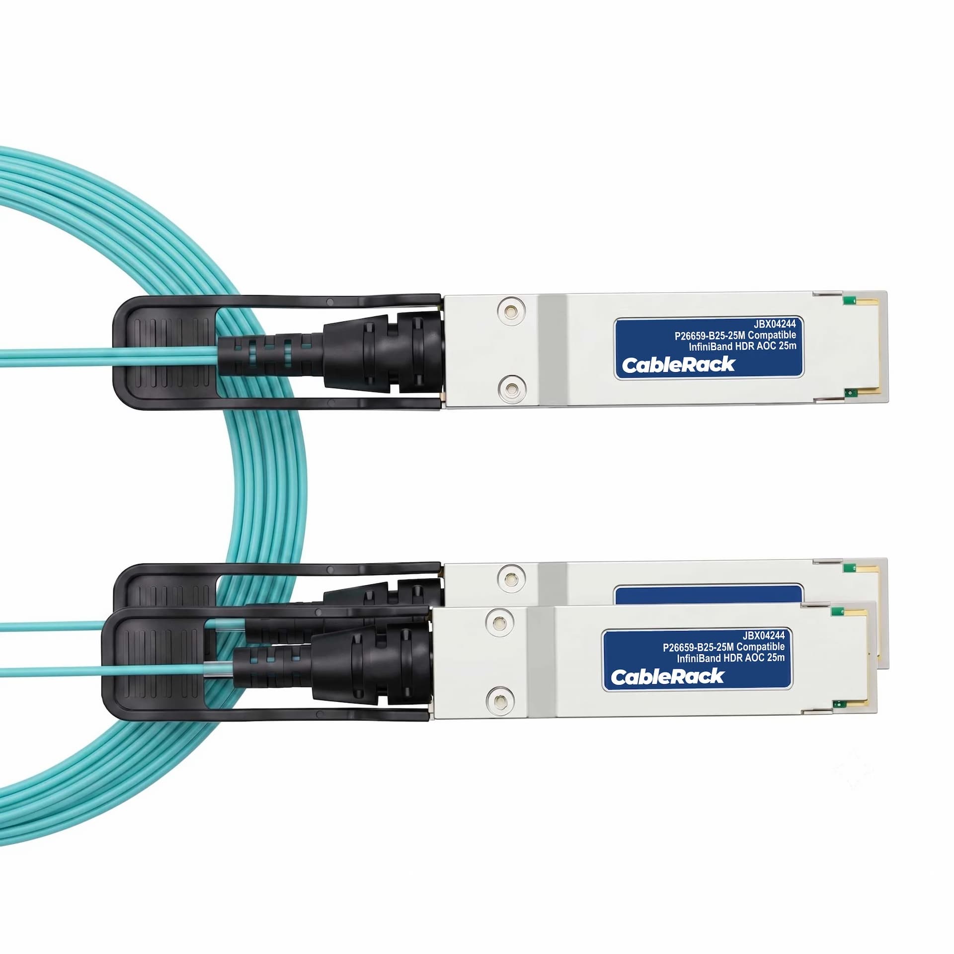 JBX04244 - primary