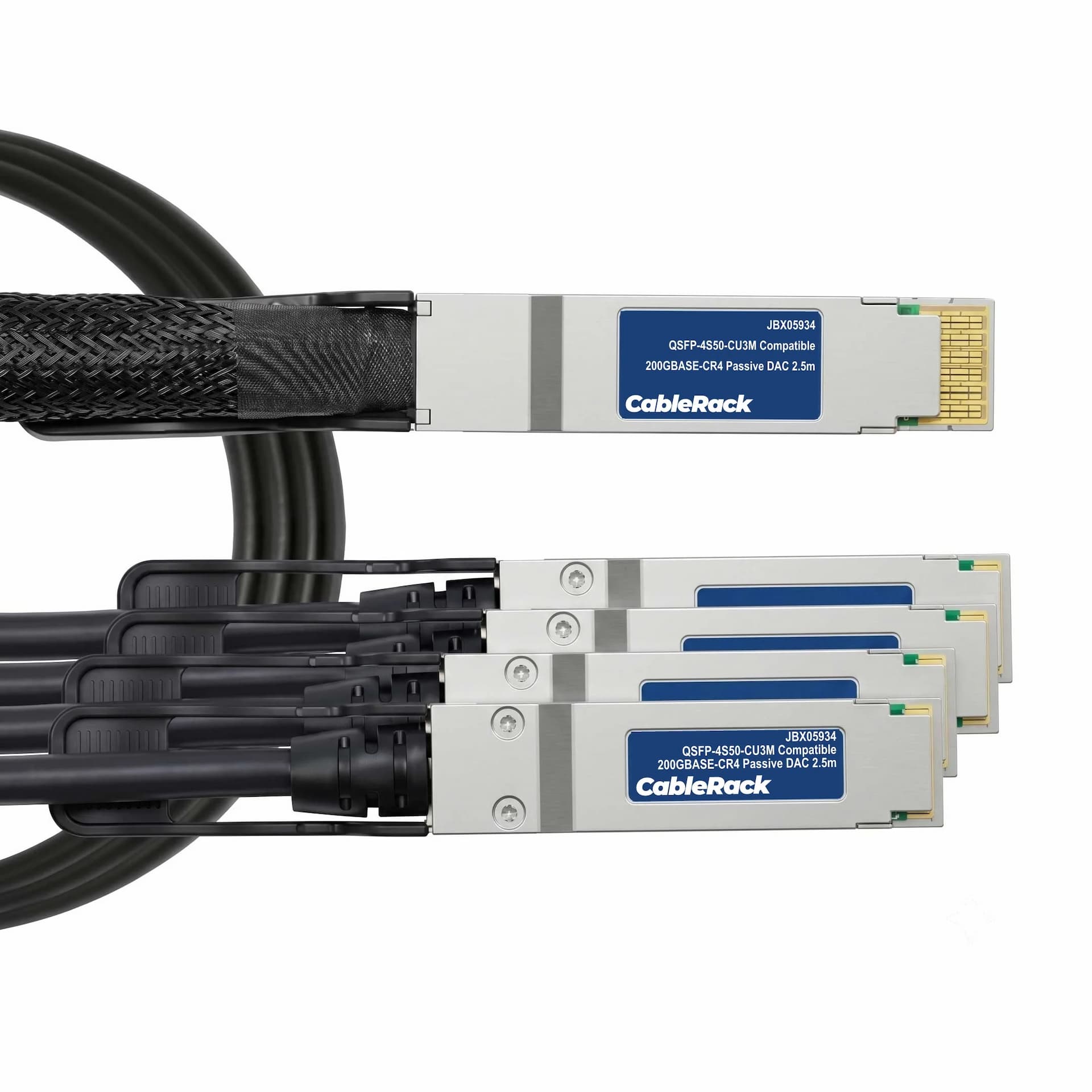 JBX05934 - primary