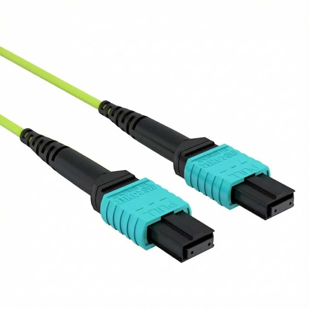 JBX24268 - primary