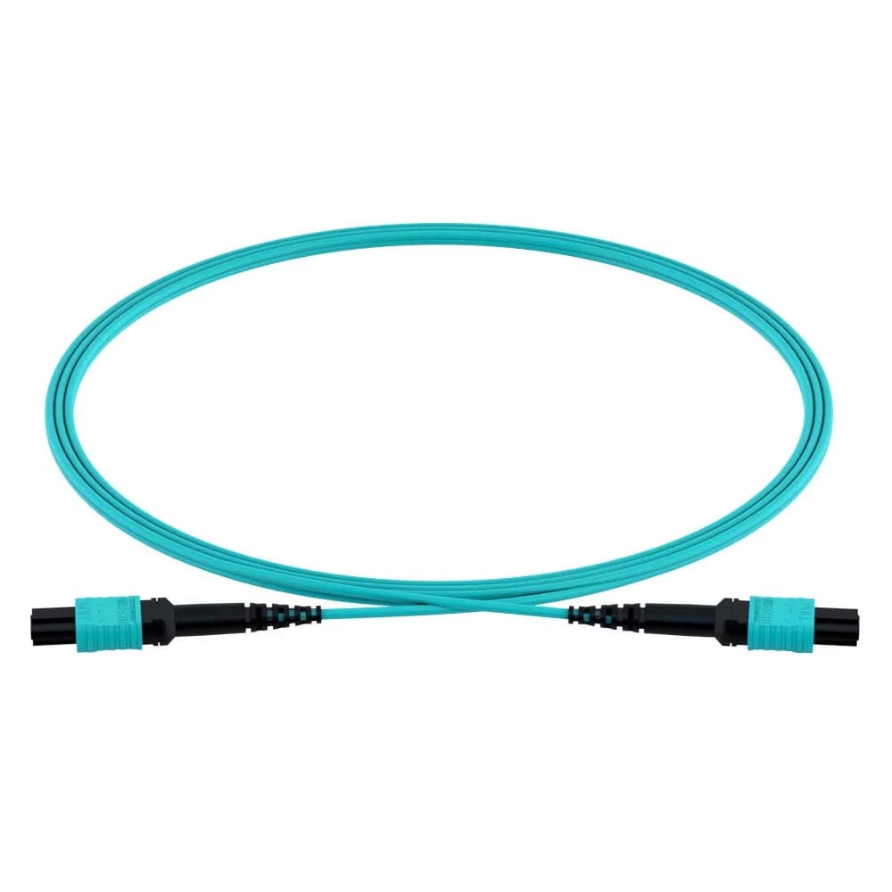 JBX24001 - primary