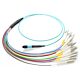1m MTP to LC 10Gb 50/125 Plenum Rated Multimode 12 Strand Fiber Patch Cable - Aqua