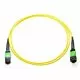 2m MTP 9/125 Plenum Rated Single Mode 12 Strand Fiber Patch Cable - Yellow