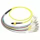 15m MTP to LC 9/125 Plenum Rated Single Mode 12 Strand Fiber Patch Cable - Yellow