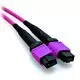 1m MTP/MTP 40GB 50/125 Plenum OM4 Multimode 12 Strand Fiber Trunk Cable Violet